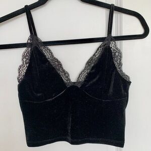 NWT Velvet Crop Top with  Lace Detail
